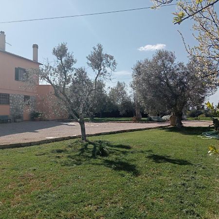 Villa In Campagna Tra Natura E Verde Монталто ди Кастро Екстериор снимка