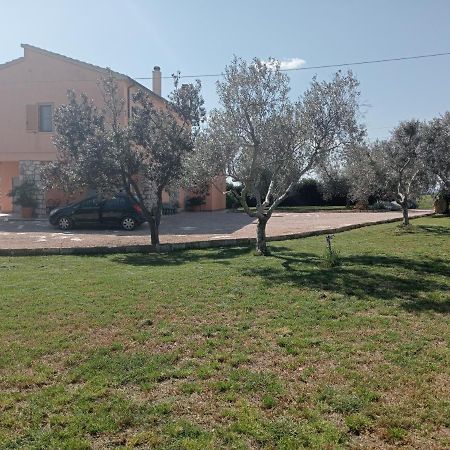 Villa In Campagna Tra Natura E Verde Монталто ди Кастро Екстериор снимка