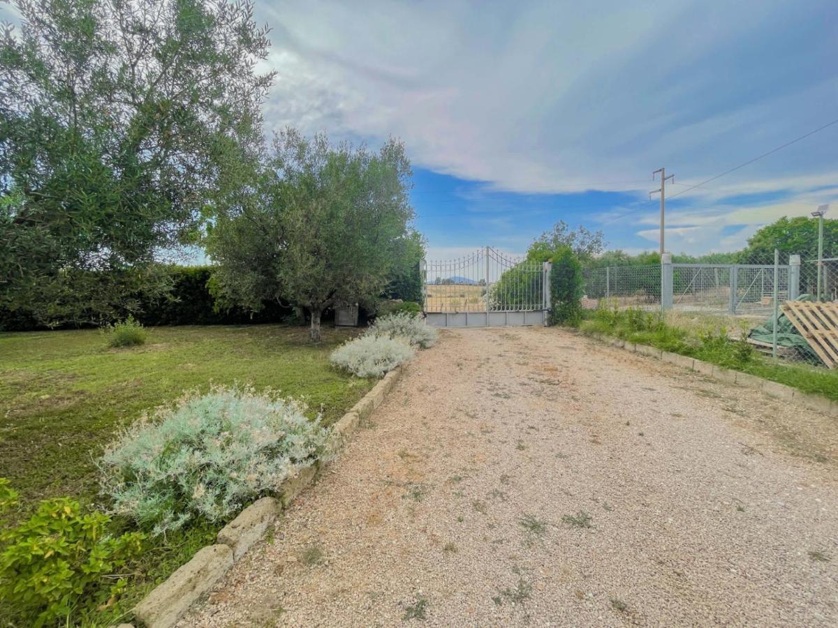 Villa In Campagna Tra Natura E Verde Монталто ди Кастро Екстериор снимка