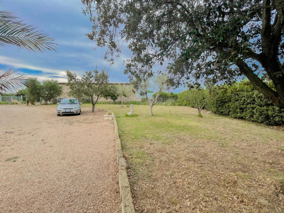 Villa In Campagna Tra Natura E Verde Монталто ди Кастро Екстериор снимка