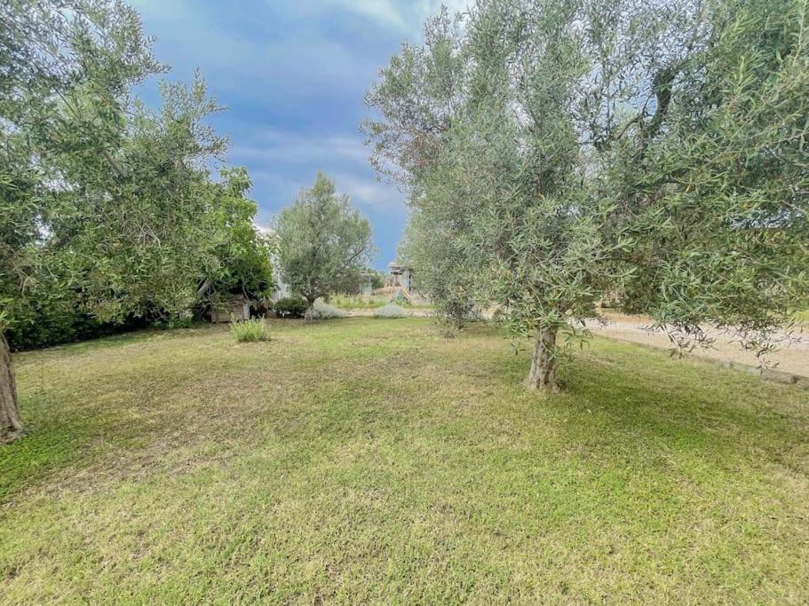 Villa In Campagna Tra Natura E Verde Монталто ди Кастро Екстериор снимка