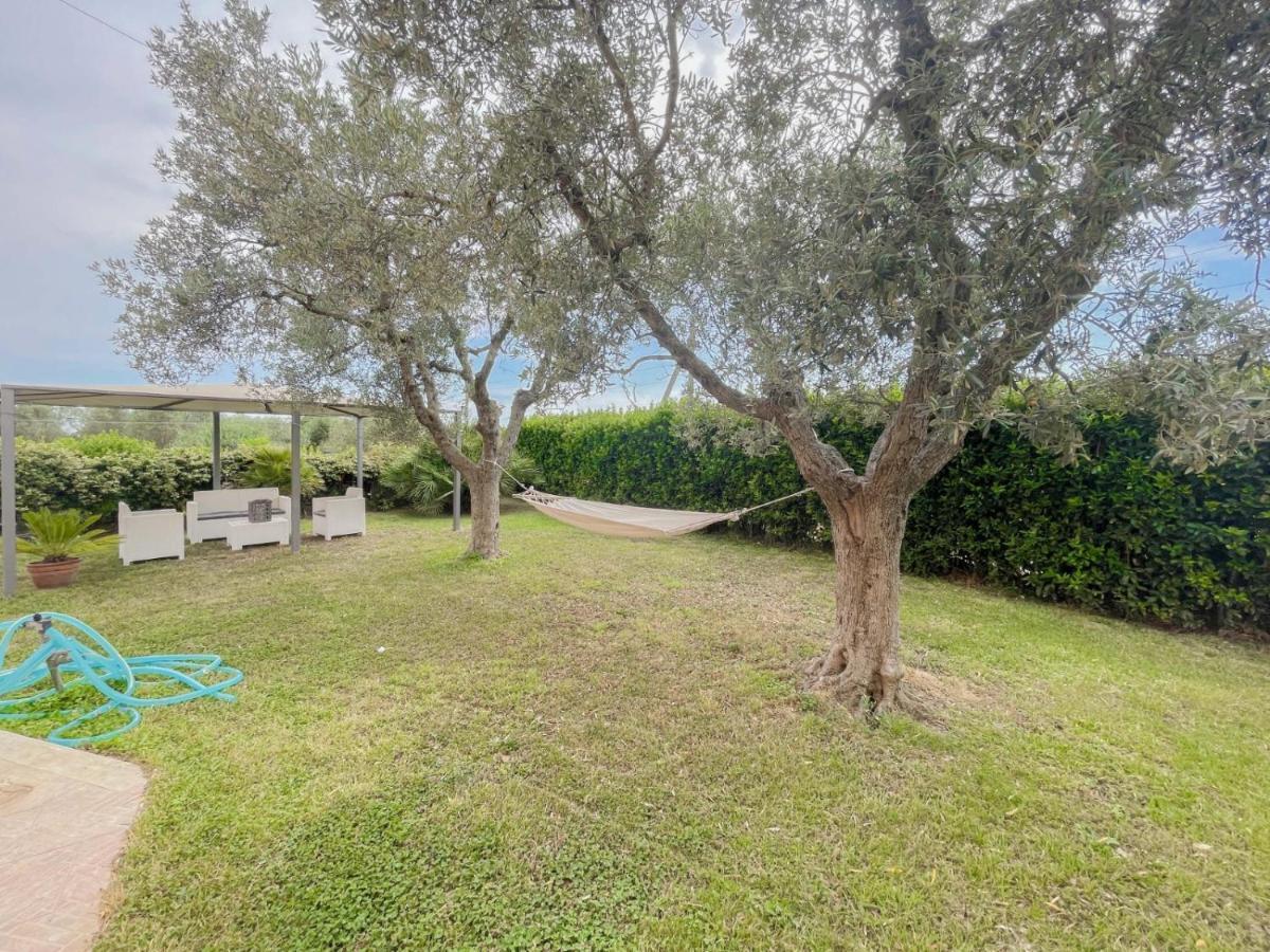 Villa In Campagna Tra Natura E Verde Монталто ди Кастро Екстериор снимка