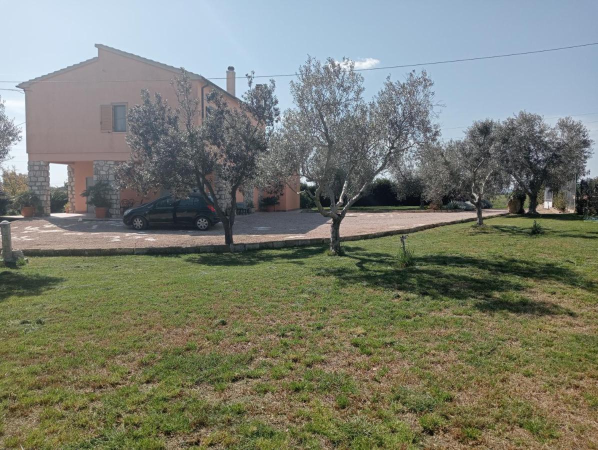 Villa In Campagna Tra Natura E Verde Монталто ди Кастро Екстериор снимка