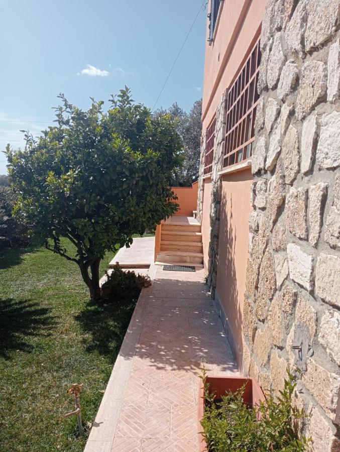 Villa In Campagna Tra Natura E Verde Монталто ди Кастро Екстериор снимка
